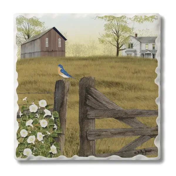 Morning's Glory Coaster - 4 Pack