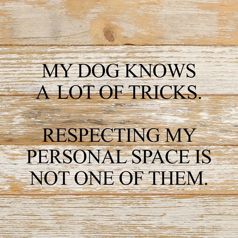 "My Dog Knows A Lot" Reclaimed Wood Sign