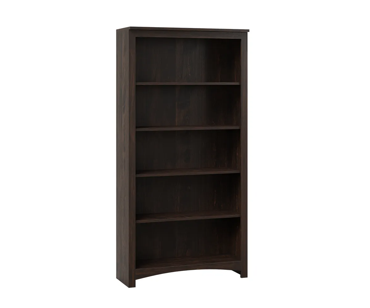 Treasure Economy Bookcase