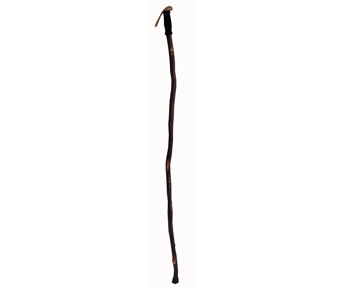 Hiker Cane